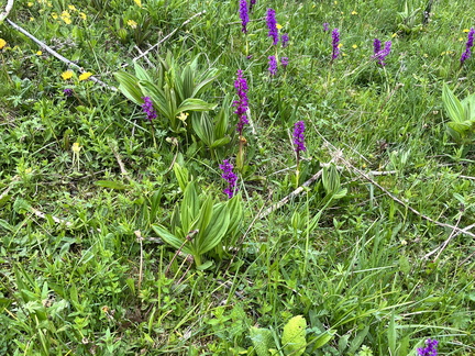 23-05-21 10-43-59 5509